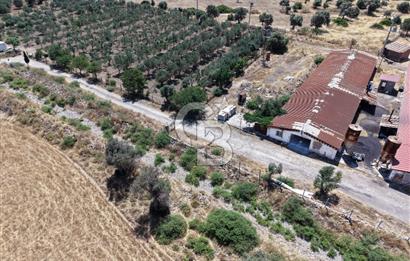 URLA ZEYTİNELİ'NDE RUHSATLI, ÜRETİME HAZIR, YÜKSEK POTANSİYELLİ TAVUK ÇİFTLİĞİ