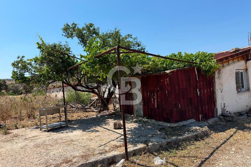 URLA ZEYTİNELİ'NDE RUHSATLI, ÜRETİME HAZIR, YÜKSEK POTANSİYELLİ TAVUK ÇİFTLİĞİ