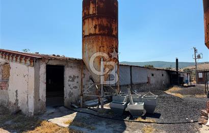URLA ZEYTİNELİ'NDE RUHSATLI, ÜRETİME HAZIR, YÜKSEK POTANSİYELLİ TAVUK ÇİFTLİĞİ