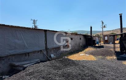 URLA ZEYTİNELİ'NDE RUHSATLI, ÜRETİME HAZIR, YÜKSEK POTANSİYELLİ TAVUK ÇİFTLİĞİ