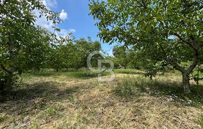 BEYŞEHİR'DE YÜKSEK TİCARİ POTANSİYELE SAHİP 3610m² CEVİZLİK