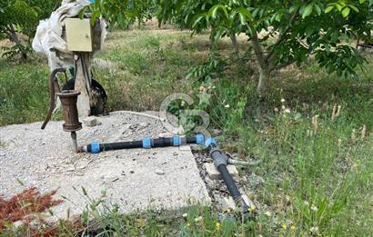 BEYŞEHİR'DE YÜKSEK TİCARİ POTANSİYELE SAHİP 3610m² CEVİZLİK