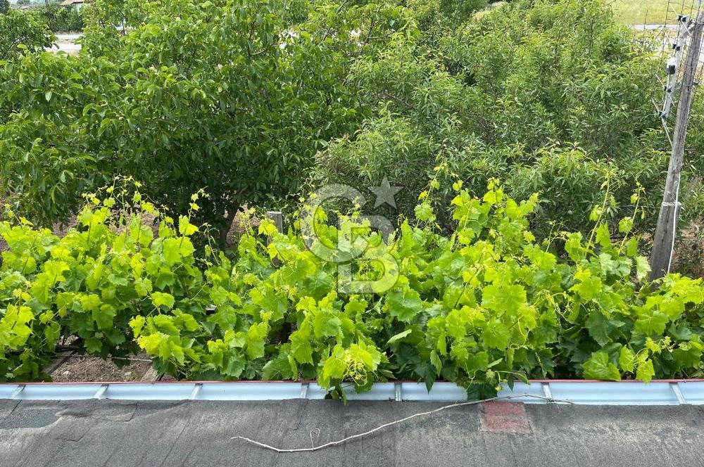 BEYŞEHİR'DE YÜKSEK TİCARİ POTANSİYELE SAHİP 3610m² CEVİZLİK
