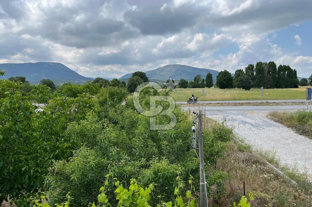 BEYŞEHİR'DE YÜKSEK TİCARİ POTANSİYELE SAHİP 3610m² CEVİZLİK