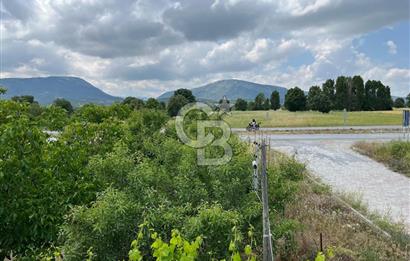 BEYŞEHİR'DE YÜKSEK TİCARİ POTANSİYELE SAHİP 3610m² CEVİZLİK