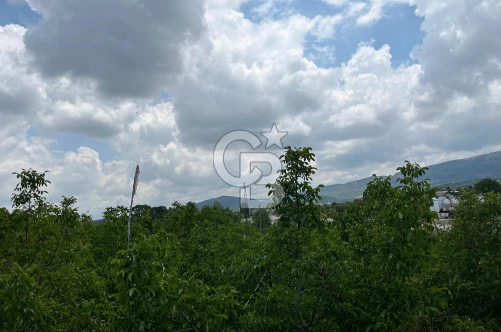 BEYŞEHİR'DE YÜKSEK TİCARİ POTANSİYELE SAHİP 3610m² CEVİZLİK
