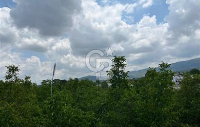 BEYŞEHİR'DE YÜKSEK TİCARİ POTANSİYELE SAHİP 3610m² CEVİZLİK