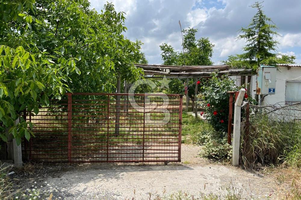 BEYŞEHİR'DE YÜKSEK TİCARİ POTANSİYELE SAHİP 3610m² CEVİZLİK