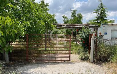BEYŞEHİR'DE YÜKSEK TİCARİ POTANSİYELE SAHİP 3610m² CEVİZLİK