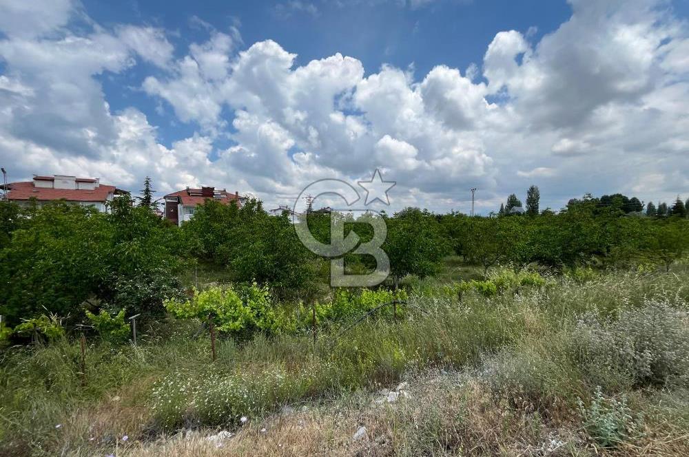 BEYŞEHİR'DE YÜKSEK TİCARİ POTANSİYELE SAHİP 3610m² CEVİZLİK