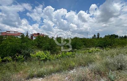 BEYŞEHİR'DE YÜKSEK TİCARİ POTANSİYELE SAHİP 3610m² CEVİZLİK