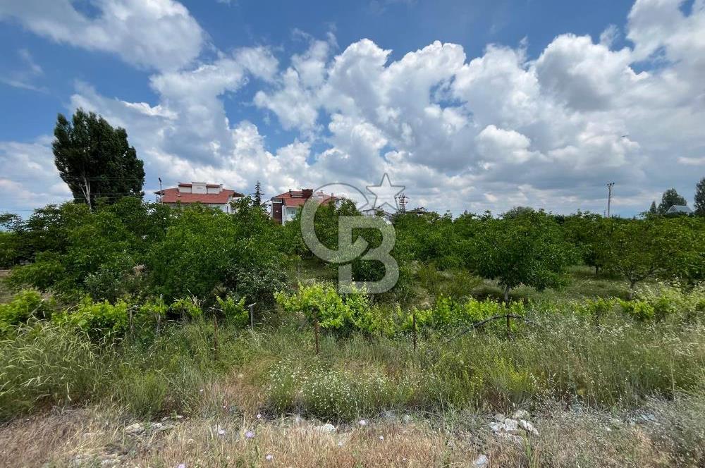 BEYŞEHİR'DE YÜKSEK TİCARİ POTANSİYELE SAHİP 3610m² CEVİZLİK