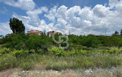 BEYŞEHİR'DE YÜKSEK TİCARİ POTANSİYELE SAHİP 3610m² CEVİZLİK