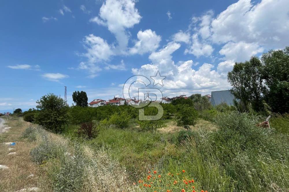 BEYŞEHİR'DE YÜKSEK TİCARİ POTANSİYELE SAHİP 3610m² CEVİZLİK
