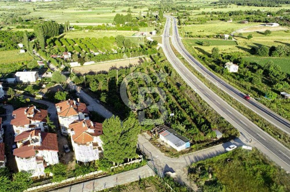 BEYŞEHİR'DE YÜKSEK TİCARİ POTANSİYELE SAHİP 3610m² CEVİZLİK