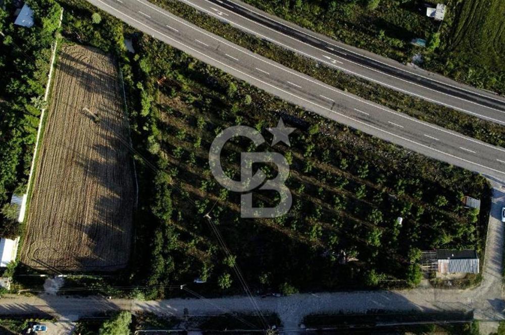 BEYŞEHİR'DE YÜKSEK TİCARİ POTANSİYELE SAHİP 3610m² CEVİZLİK