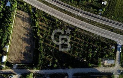 BEYŞEHİR'DE YÜKSEK TİCARİ POTANSİYELE SAHİP 3610m² CEVİZLİK