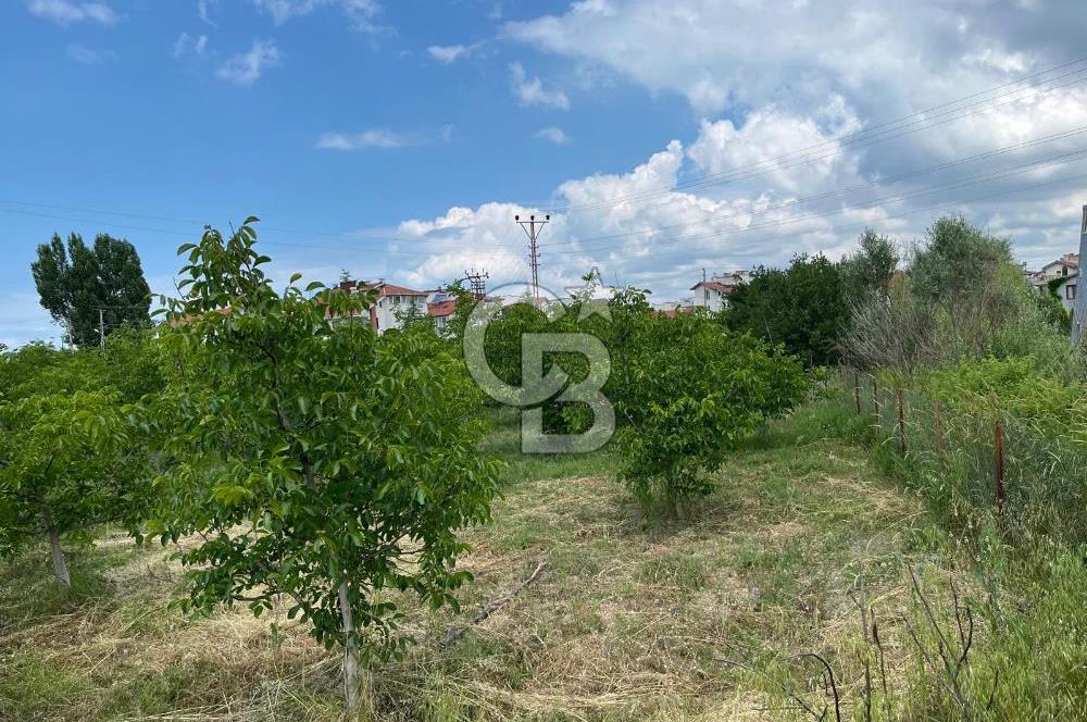 BEYŞEHİR'DE YÜKSEK TİCARİ POTANSİYELE SAHİP 3610m² CEVİZLİK