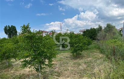 BEYŞEHİR'DE YÜKSEK TİCARİ POTANSİYELE SAHİP 3610m² CEVİZLİK