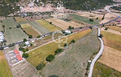 ANTALYA KAŞ BEZİRGAN DA CB ARDEN DEN 8082 m² SATILIK TARLA