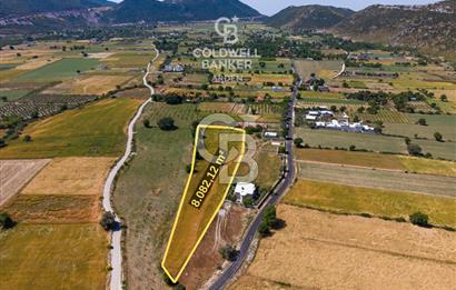 ANTALYA KAŞ BEZİRGAN DA CB ARDEN DEN 8082 m² SATILIK TARLA