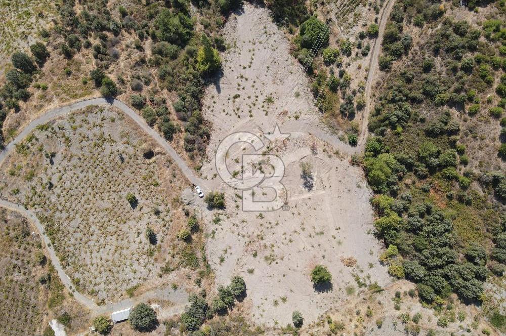  İzmir Karabağlar Kavacık 4.562 m² Yatırımlık Bağ Arazisi
