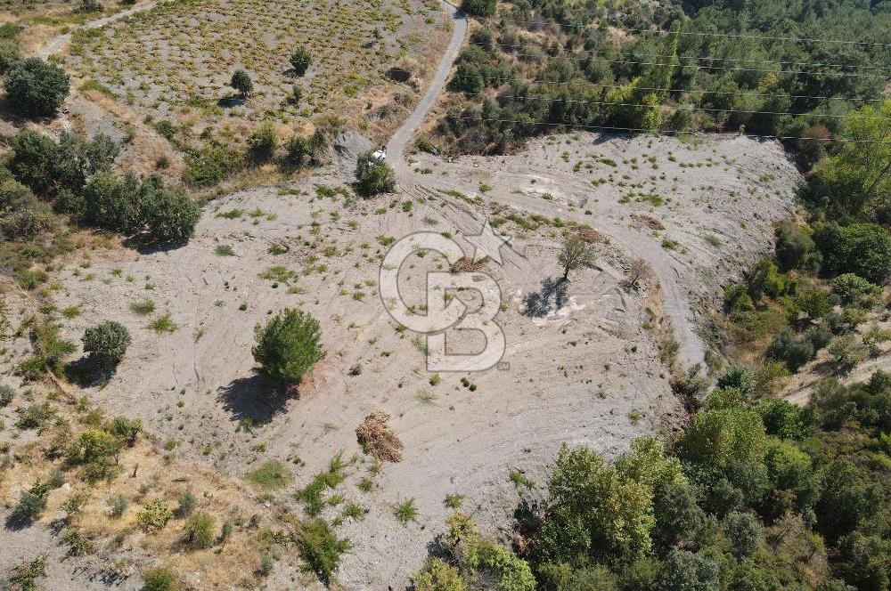  İzmir Karabağlar Kavacık 4.562 m² Yatırımlık Bağ Arazisi