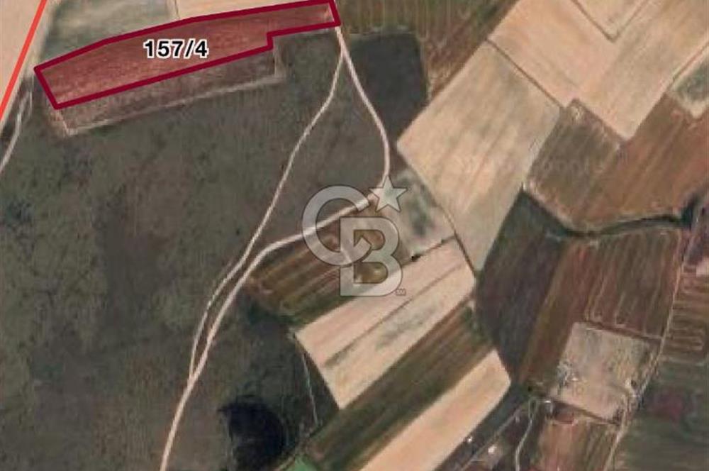 Tekirdağ Saray Çukuryurt'da 1293 M² Satılık Hisseli Arsa