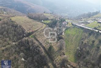 CB ENVOY'dan Gölcük Nüzhetiye'de 4990m2 Doğayla İç İçe Arsa - 12 - 354529