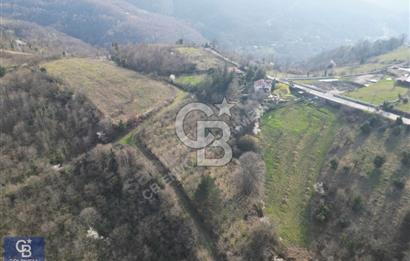 CB ENVOY'dan Gölcük Nüzhetiye'de 4990m2 Doğayla İç İçe Arsa