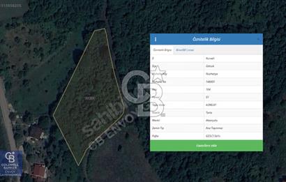 CB ENVOY'dan Gölcük Nüzhetiye'de 4990m2 Doğayla İç İçe Arsa