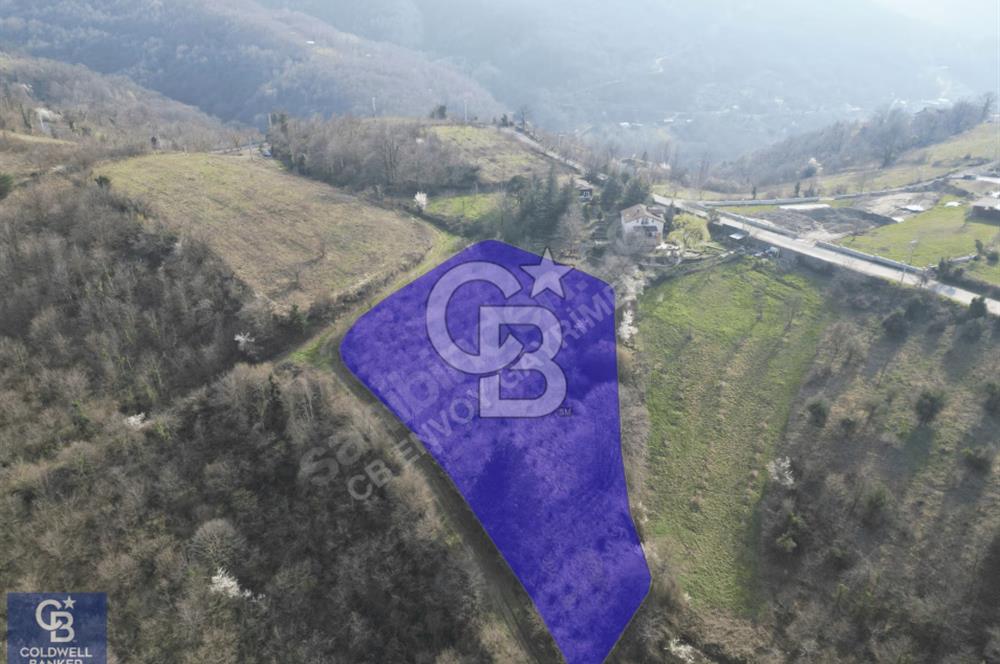 CB ENVOY'dan Gölcük Nüzhetiye'de 4990m2 Doğayla İç İçe Arsa