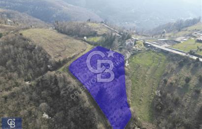 CB ENVOY'dan Gölcük Nüzhetiye'de 4990m2 Doğayla İç İçe Arsa