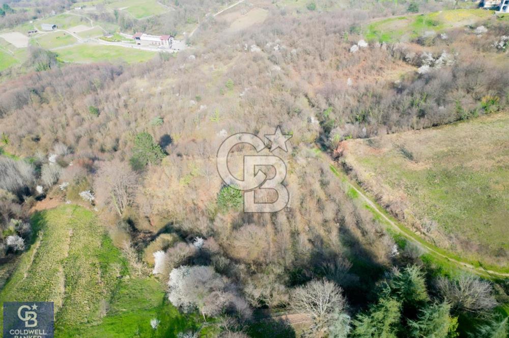 CB ENVOY'dan Gölcük Nüzhetiye'de 4990m2 Doğayla İç İçe Arsa