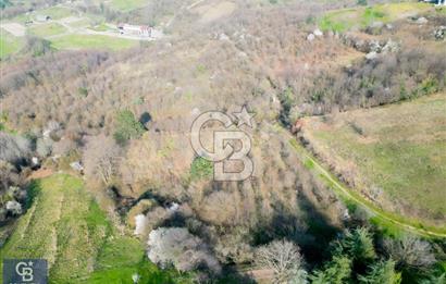 CB ENVOY'dan Gölcük Nüzhetiye'de 4990m2 Doğayla İç İçe Arsa