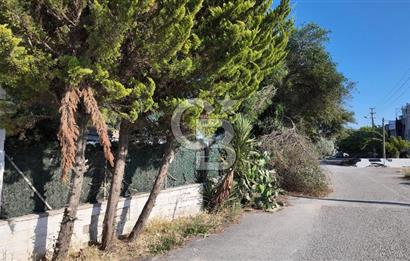 URLA İSKELE ATATÜRK MAHALLESİ'NDE EŞSİZ KONUMDA DEĞERLİ MÜLK