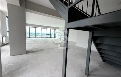 CB BLACK'DEN YALOVA YOLUNA CEPHE 248 M.KARE OFİS
