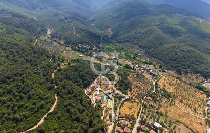 Kemalpaşa'da Satılık Müstakil Havuzlu Doğalgazlı Villa