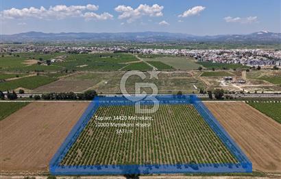 İzmir- İstanbul Karayolu Üzerinde Satılık Hisseli Tarla