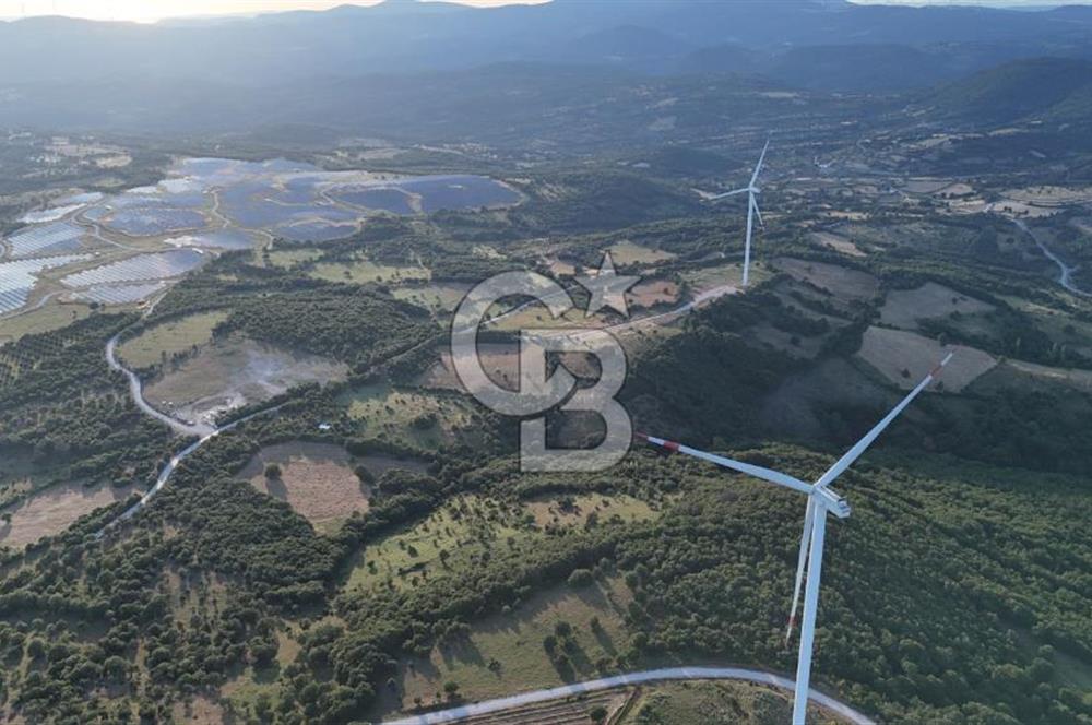 ÇANAKKALE MERKEZ KOCALAR KÖYÜNDE 13.300 M2 TARLA