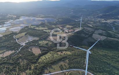 ÇANAKKALE MERKEZ KOCALAR KÖYÜNDE 13.300 M2 TARLA