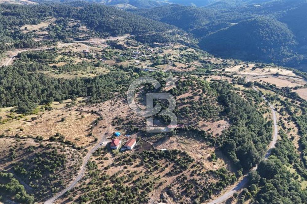 ÇANAKKALE KİRAZLI KÖYÜNDE 9.500 M2 TARLA