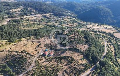 ÇANAKKALE KİRAZLI KÖYÜNDE 9.500 M2 TARLA
