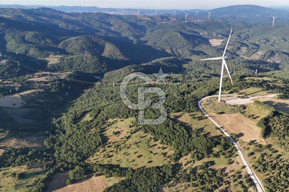 ÇANAKKALE MERKEZ KOCALAR KÖYÜNDE 13.300 M2 TARLA