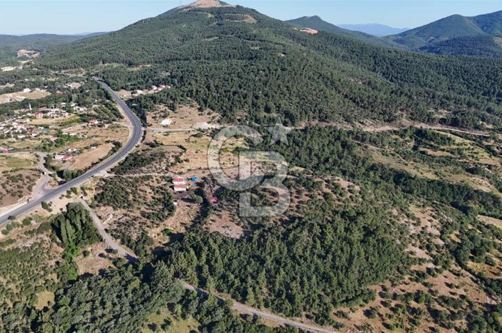 ÇANAKKALE KİRAZLI KÖYÜNDE 9.500 M2 TARLA