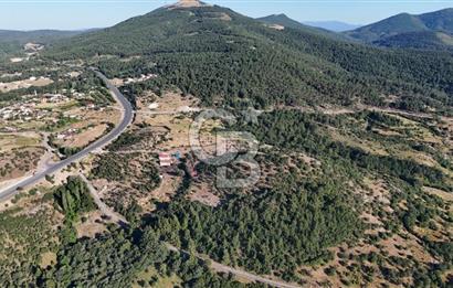 ÇANAKKALE KİRAZLI KÖYÜNDE 9.500 M2 TARLA