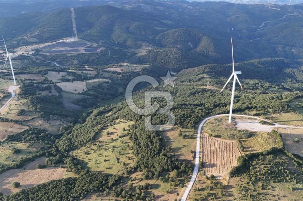 ÇANAKKALE MERKEZ KOCALAR KÖYÜNDE 13.300 M2 TARLA