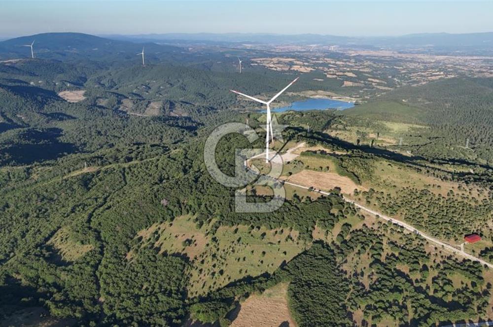 ÇANAKKALE MERKEZ KOCALAR KÖYÜNDE 13.300 M2 TARLA