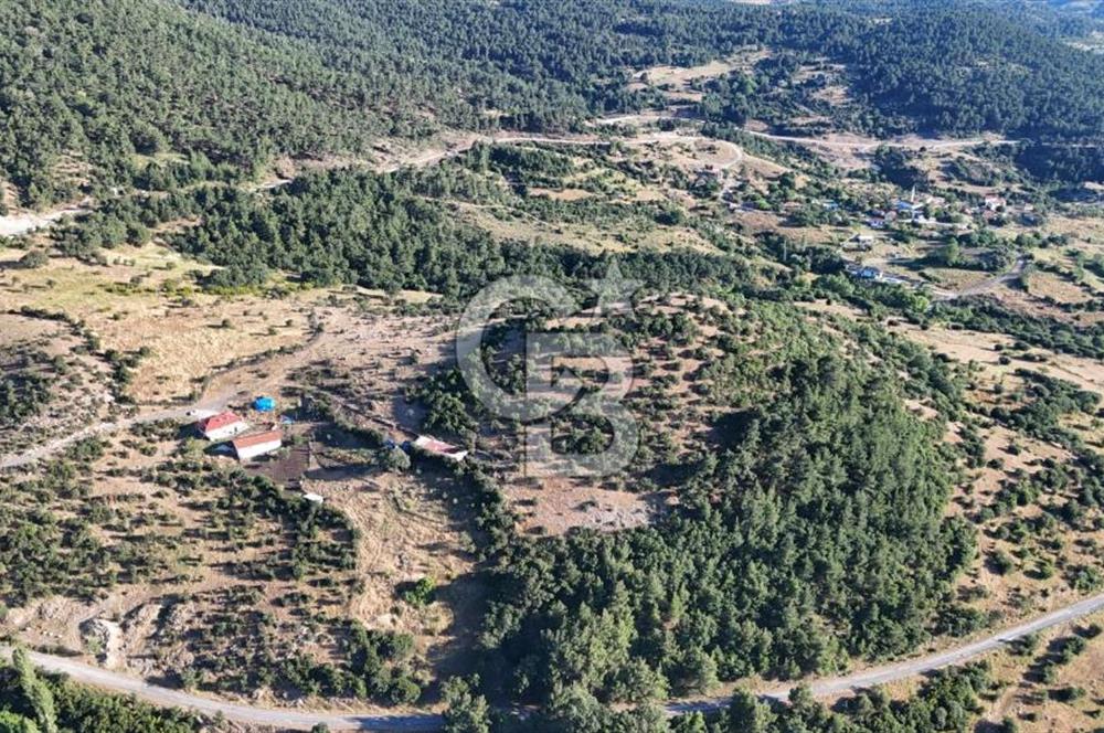 ÇANAKKALE KİRAZLI KÖYÜNDE 9.500 M2 TARLA