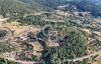 ÇANAKKALE KİRAZLI KÖYÜNDE 9.500 M2 TARLA